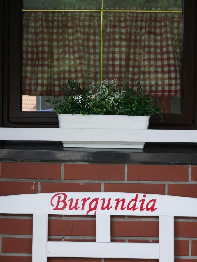 Niewinne Domki - Burgundia Żywiec Eksteriør billede